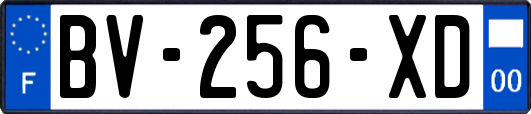 BV-256-XD