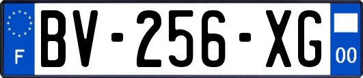 BV-256-XG