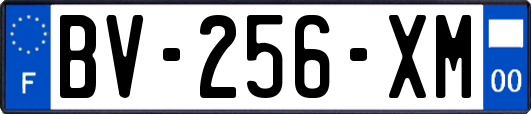 BV-256-XM