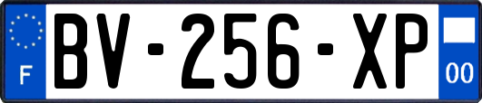 BV-256-XP