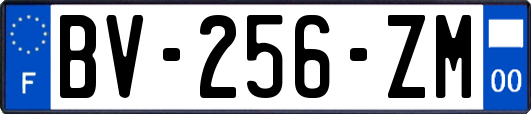 BV-256-ZM