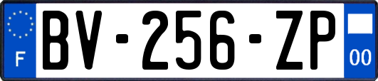 BV-256-ZP