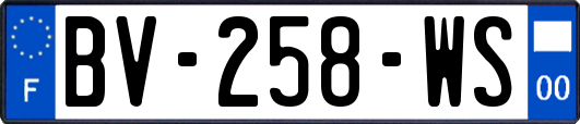 BV-258-WS