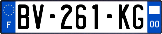 BV-261-KG
