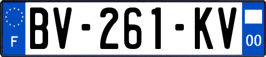 BV-261-KV