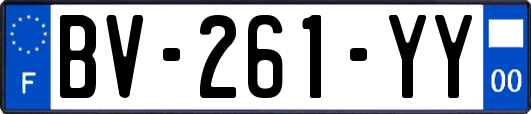 BV-261-YY