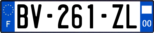 BV-261-ZL