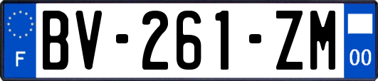 BV-261-ZM