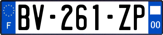 BV-261-ZP