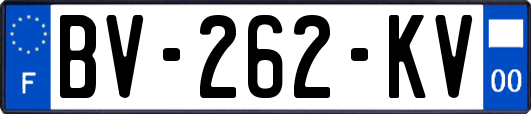 BV-262-KV