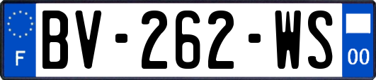 BV-262-WS