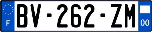 BV-262-ZM