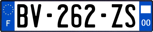 BV-262-ZS