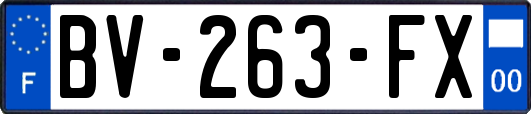 BV-263-FX