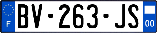 BV-263-JS