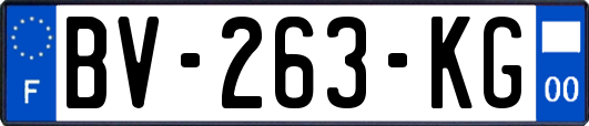BV-263-KG
