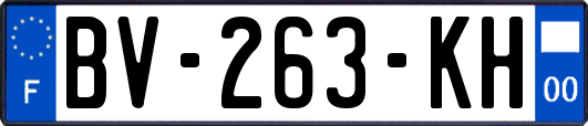 BV-263-KH