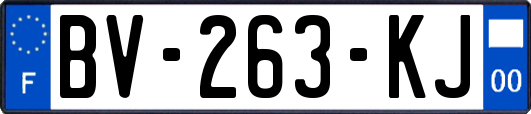 BV-263-KJ