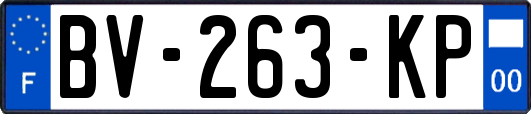 BV-263-KP