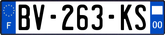 BV-263-KS
