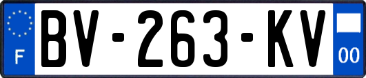 BV-263-KV