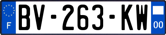BV-263-KW