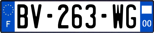 BV-263-WG