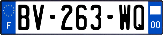 BV-263-WQ