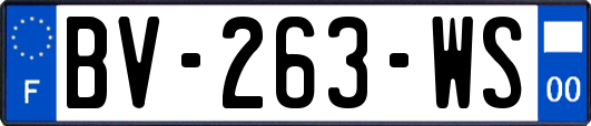 BV-263-WS