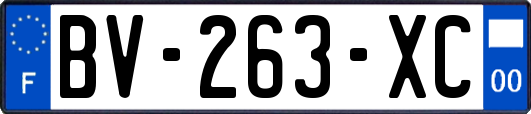 BV-263-XC