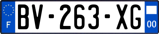 BV-263-XG