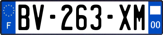BV-263-XM