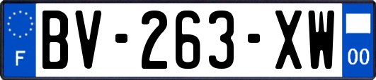 BV-263-XW