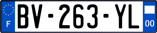 BV-263-YL