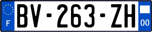 BV-263-ZH