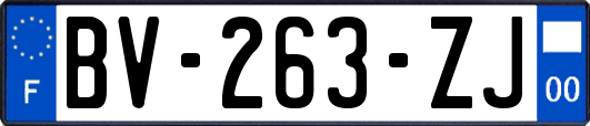 BV-263-ZJ