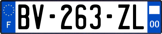 BV-263-ZL