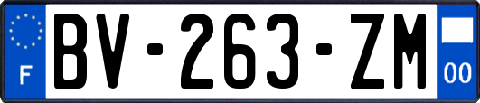 BV-263-ZM