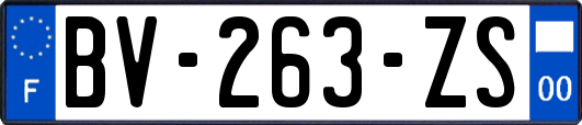 BV-263-ZS