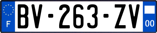 BV-263-ZV