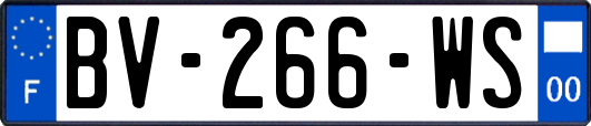 BV-266-WS