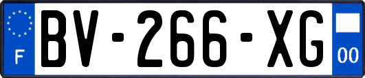 BV-266-XG