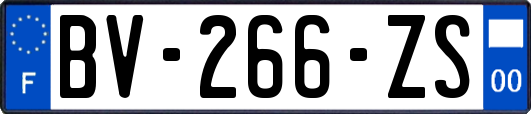 BV-266-ZS