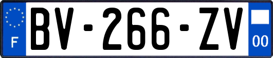 BV-266-ZV