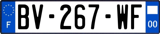 BV-267-WF