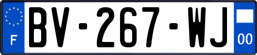 BV-267-WJ