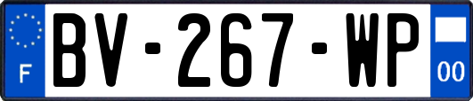 BV-267-WP