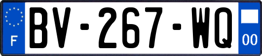 BV-267-WQ