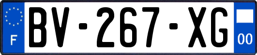 BV-267-XG