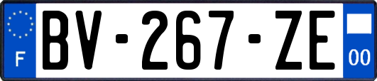 BV-267-ZE